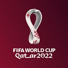历了世界杯